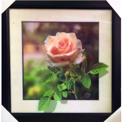 New lenticular picture 5D frame picture adjustable picture frame of Rose Home and Office Decor